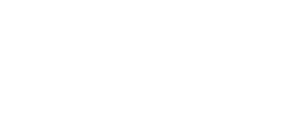Group 133